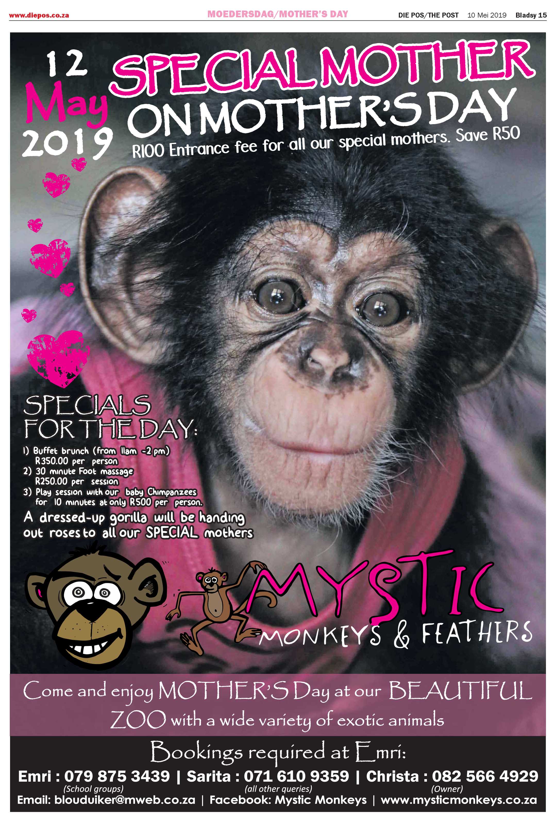 Die Pos 10 Mei 2019 page 15