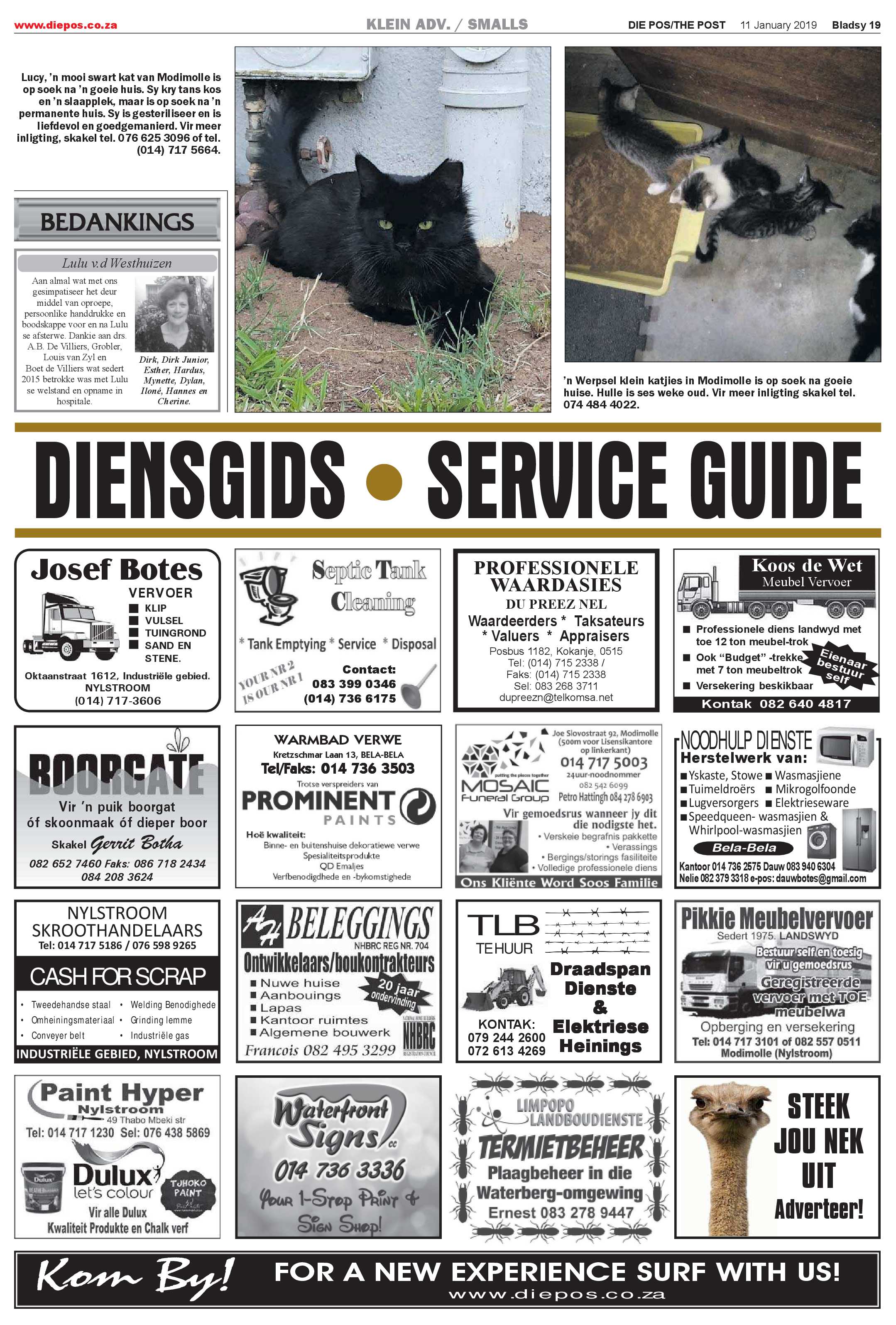Die Pos 11 January 2019 page 19