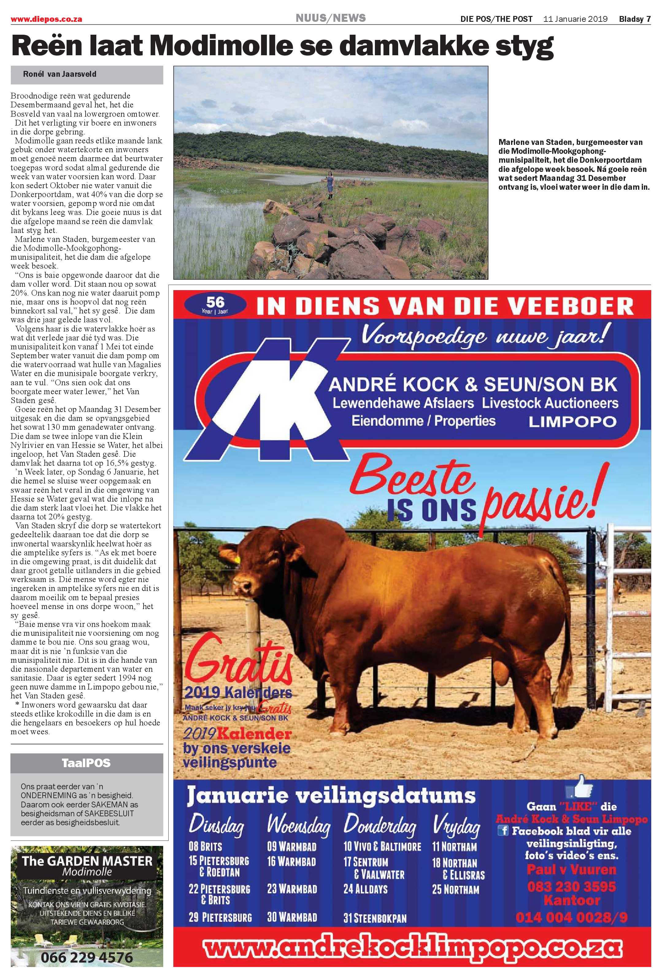 Die Pos 11 January 2019 page 7