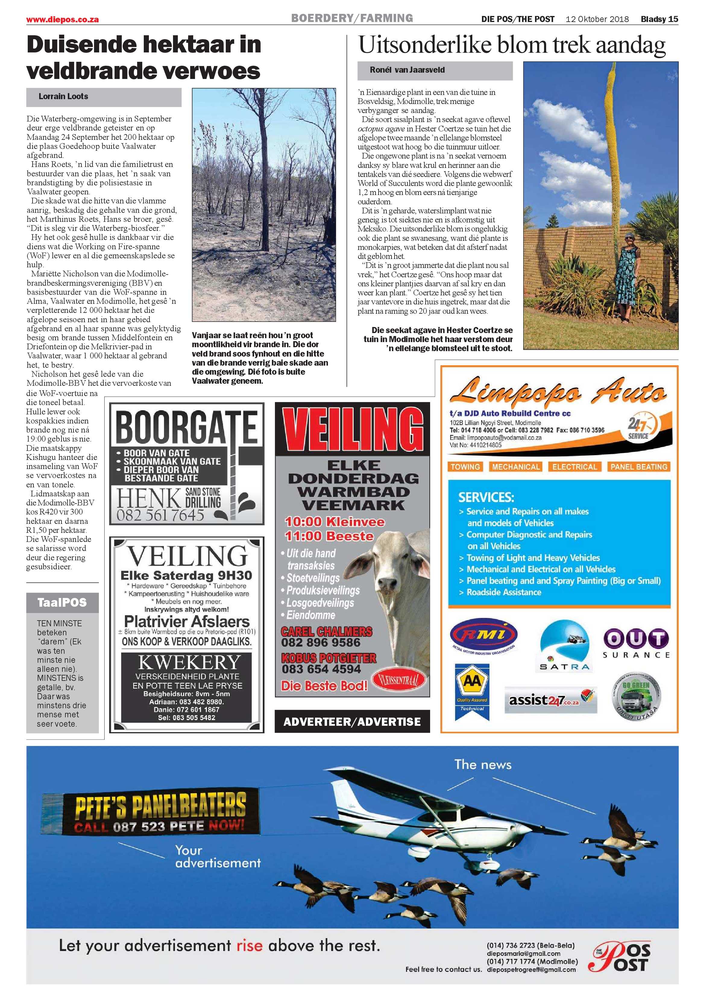 Die Pos 12 October 2018 page 15