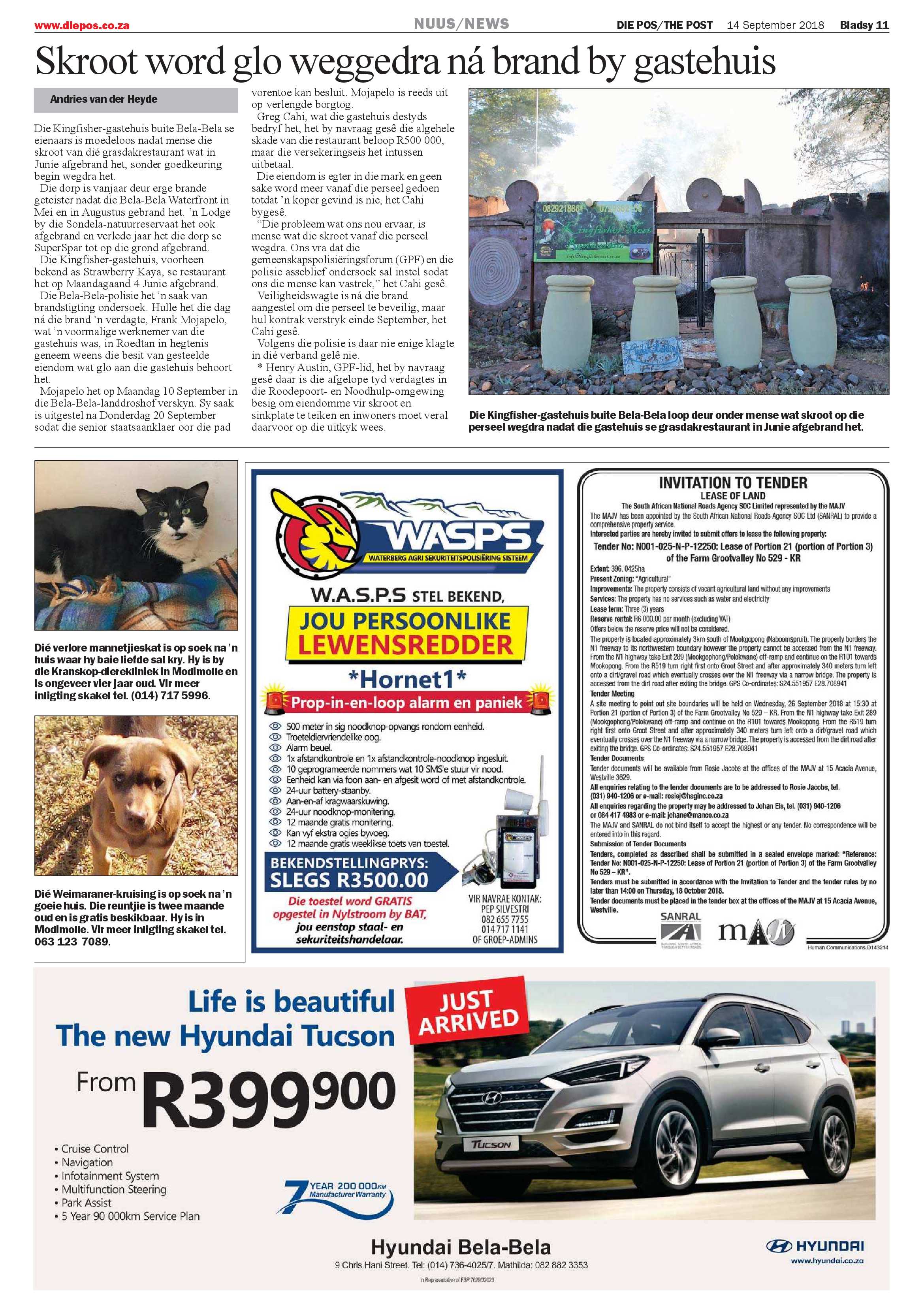 Die Pos 14 September 2018 page 11