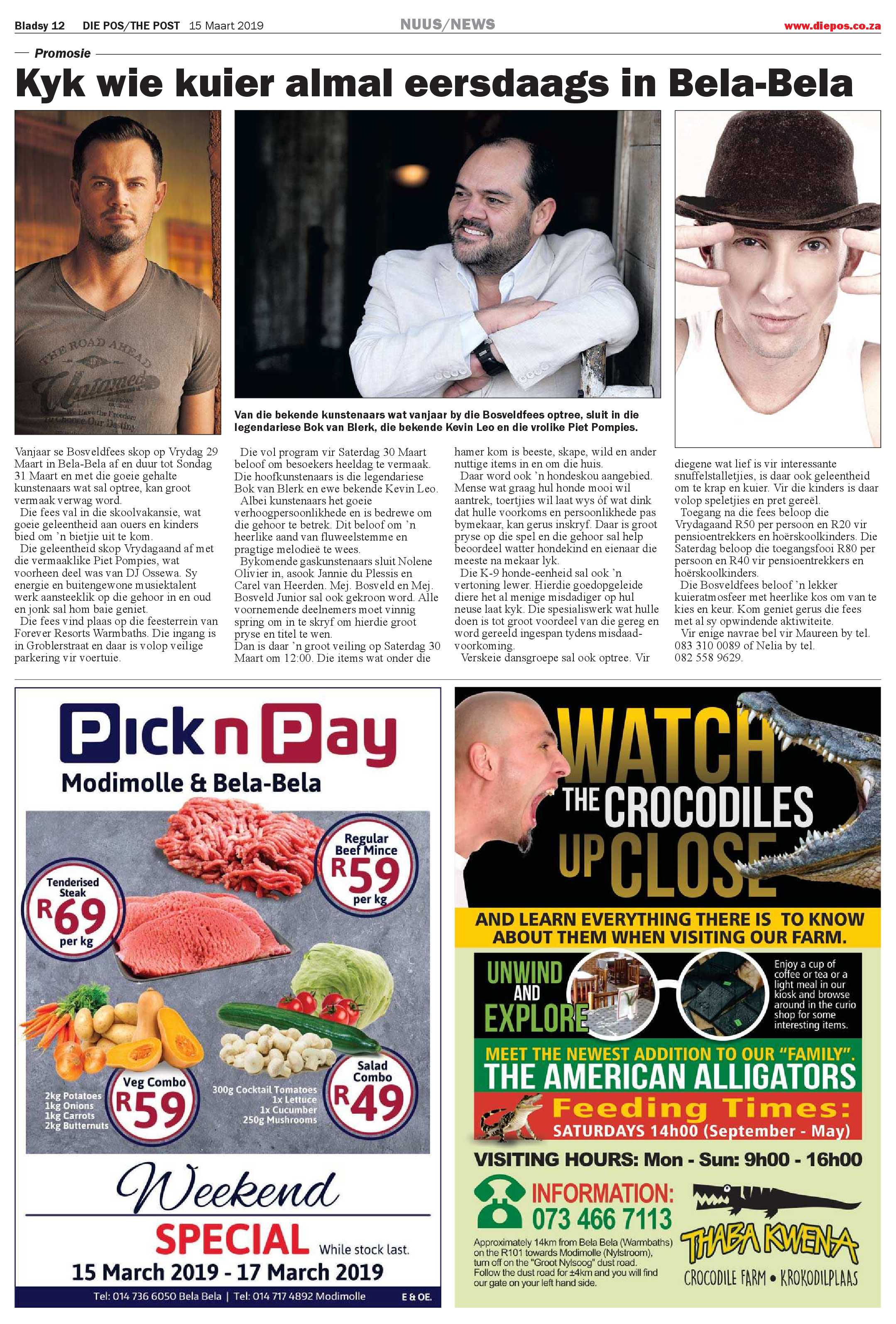 Die Pos 15 March 2019 page 12