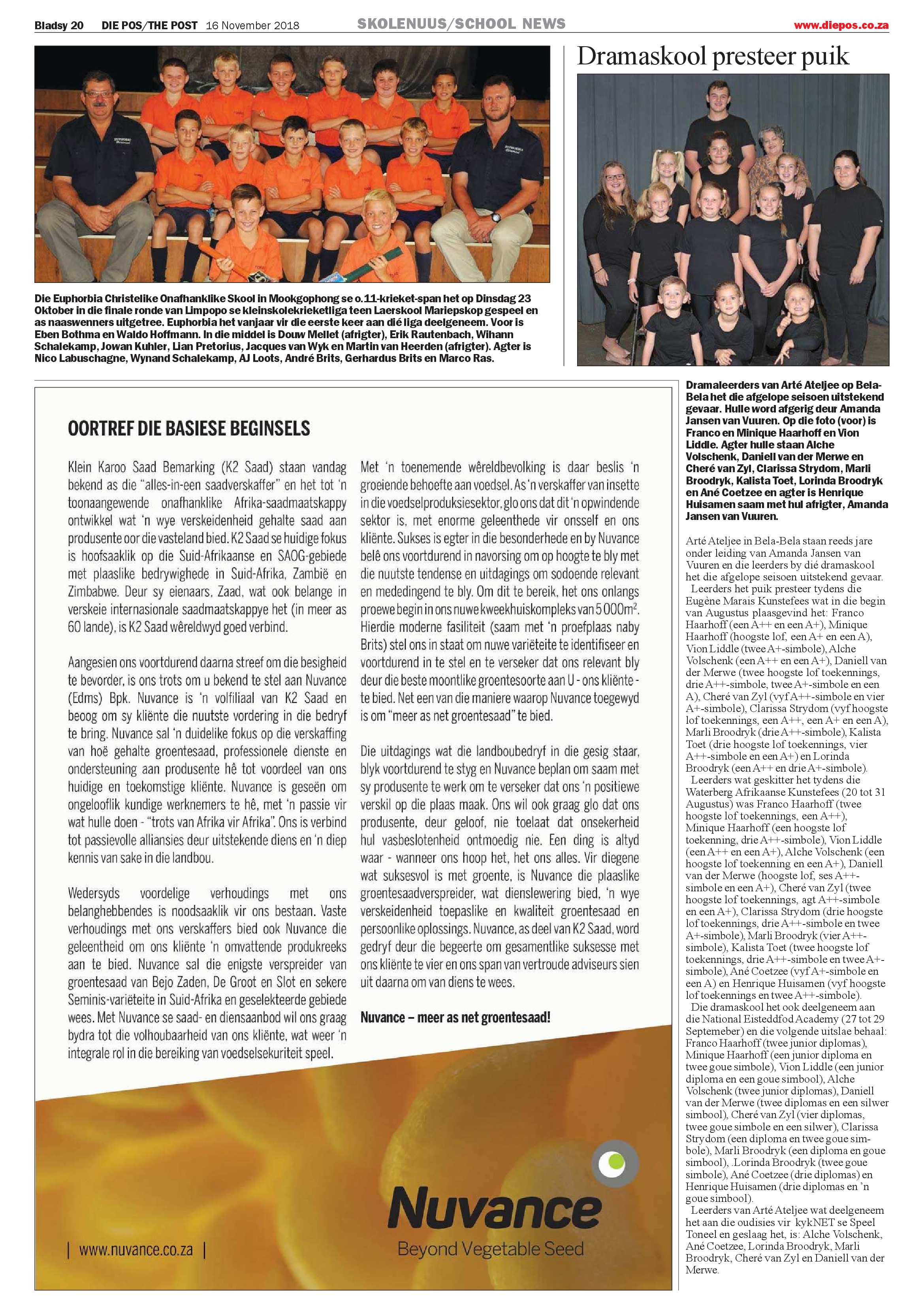 Die Pos 16 November 2018 page 20