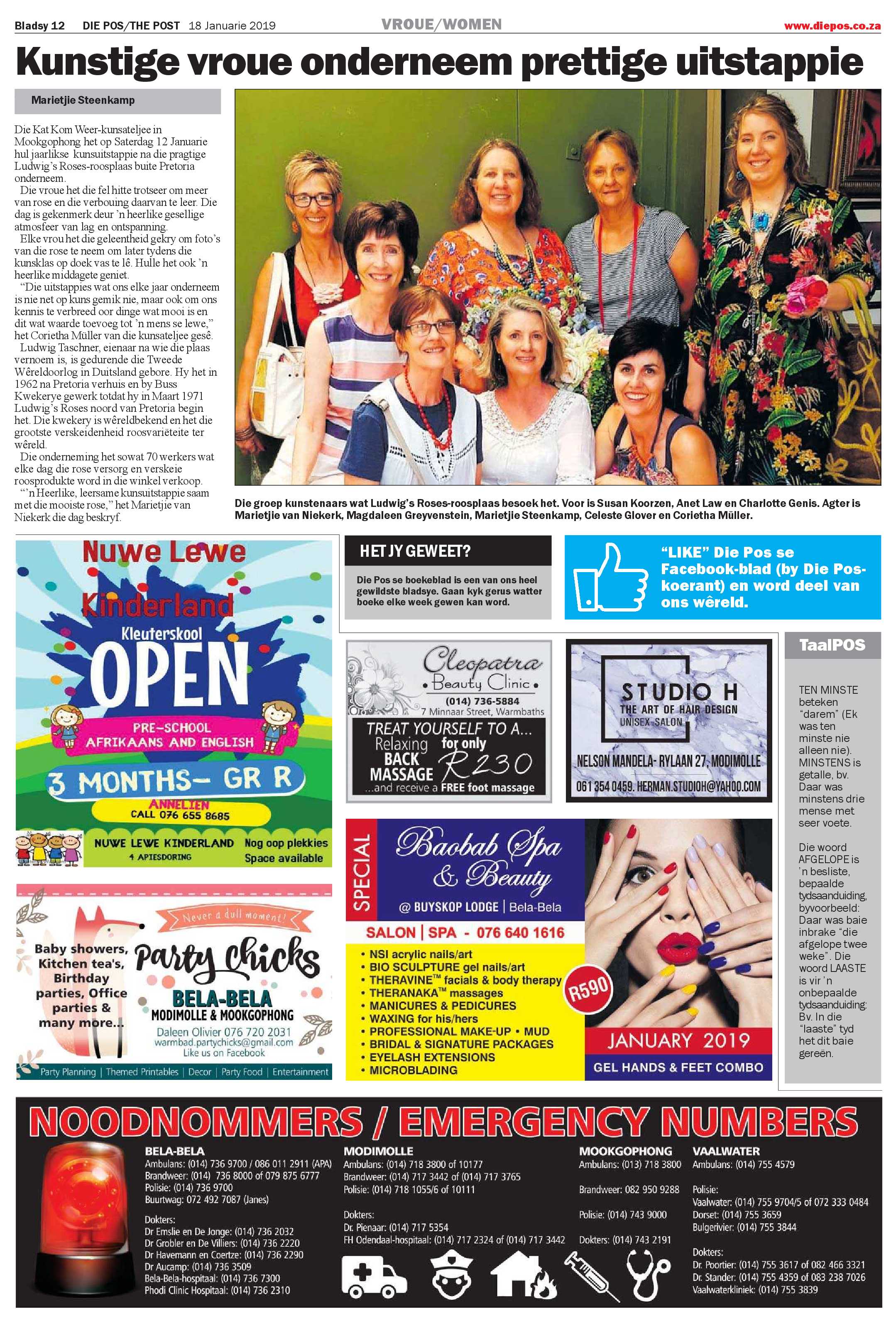 Die Pos 18 January 2019 page 12