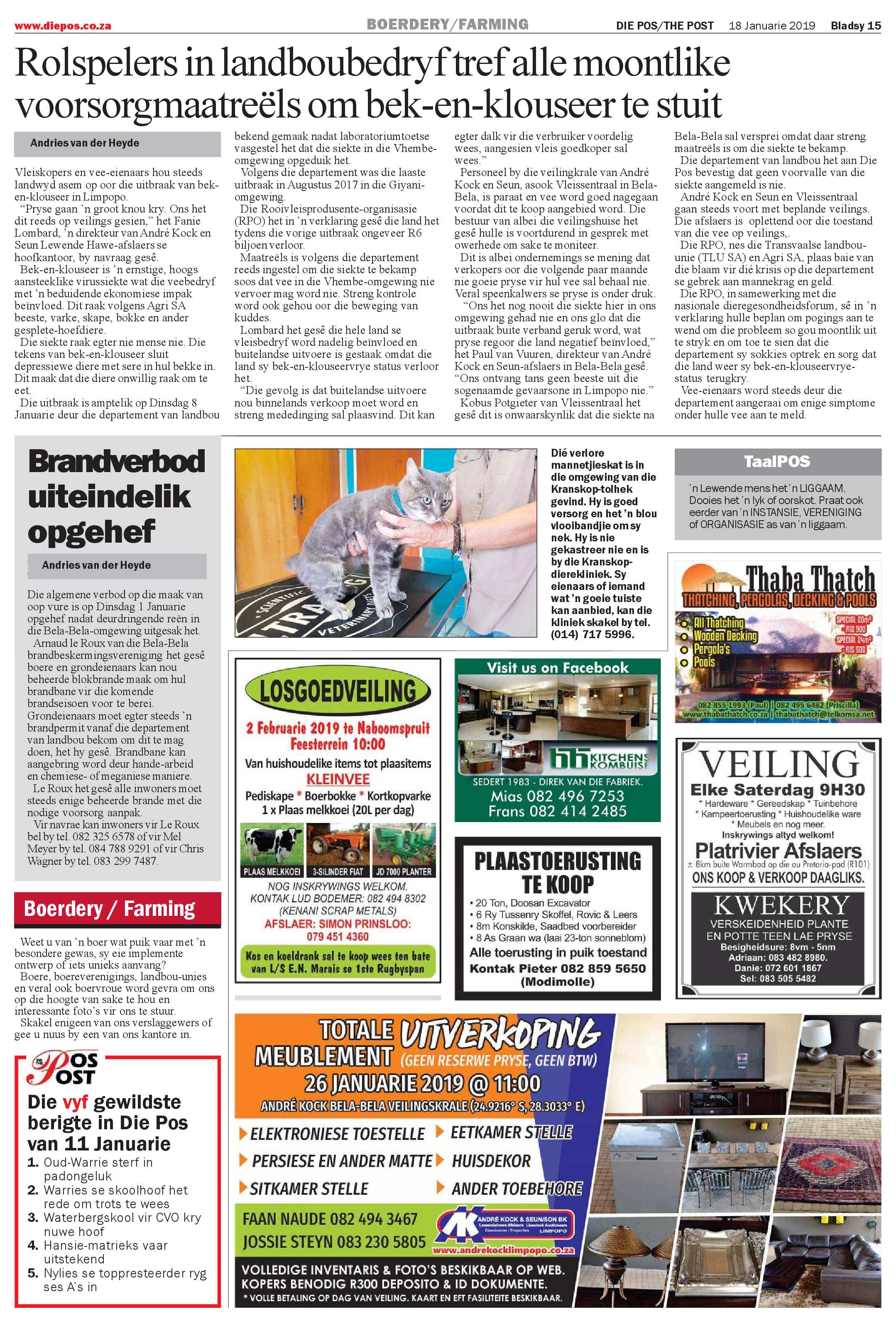 Die Pos 18 January 2019 page 15