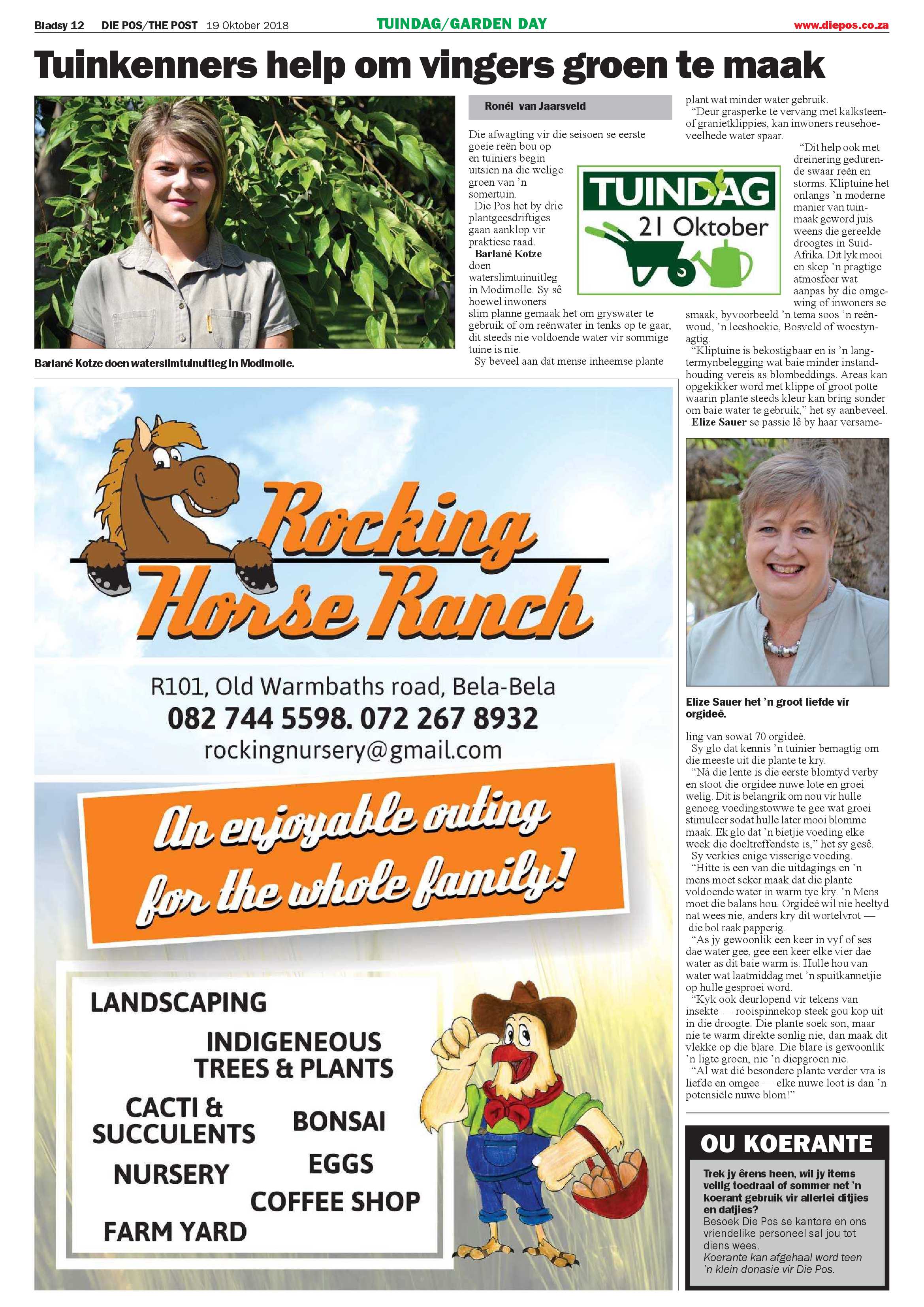 Die Pos 19 October 2018 page 12