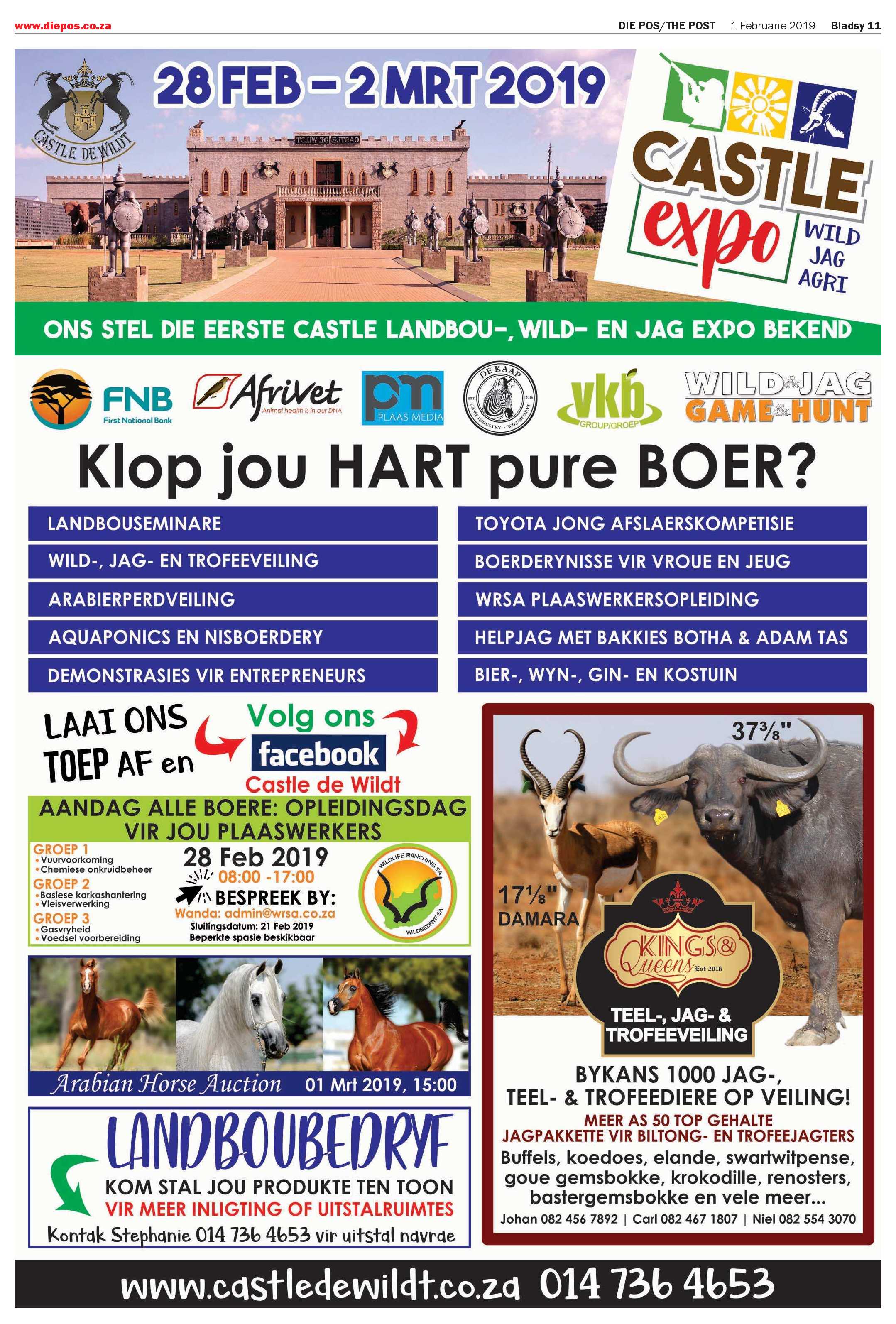 Die Pos 1 February 2019 page 11