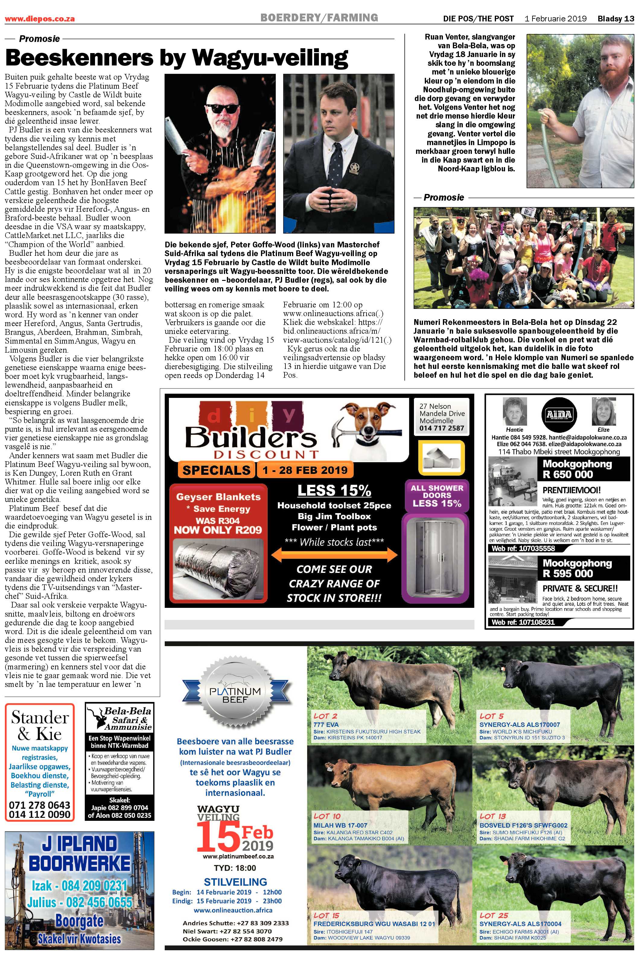 Die Pos 1 February 2019 page 13