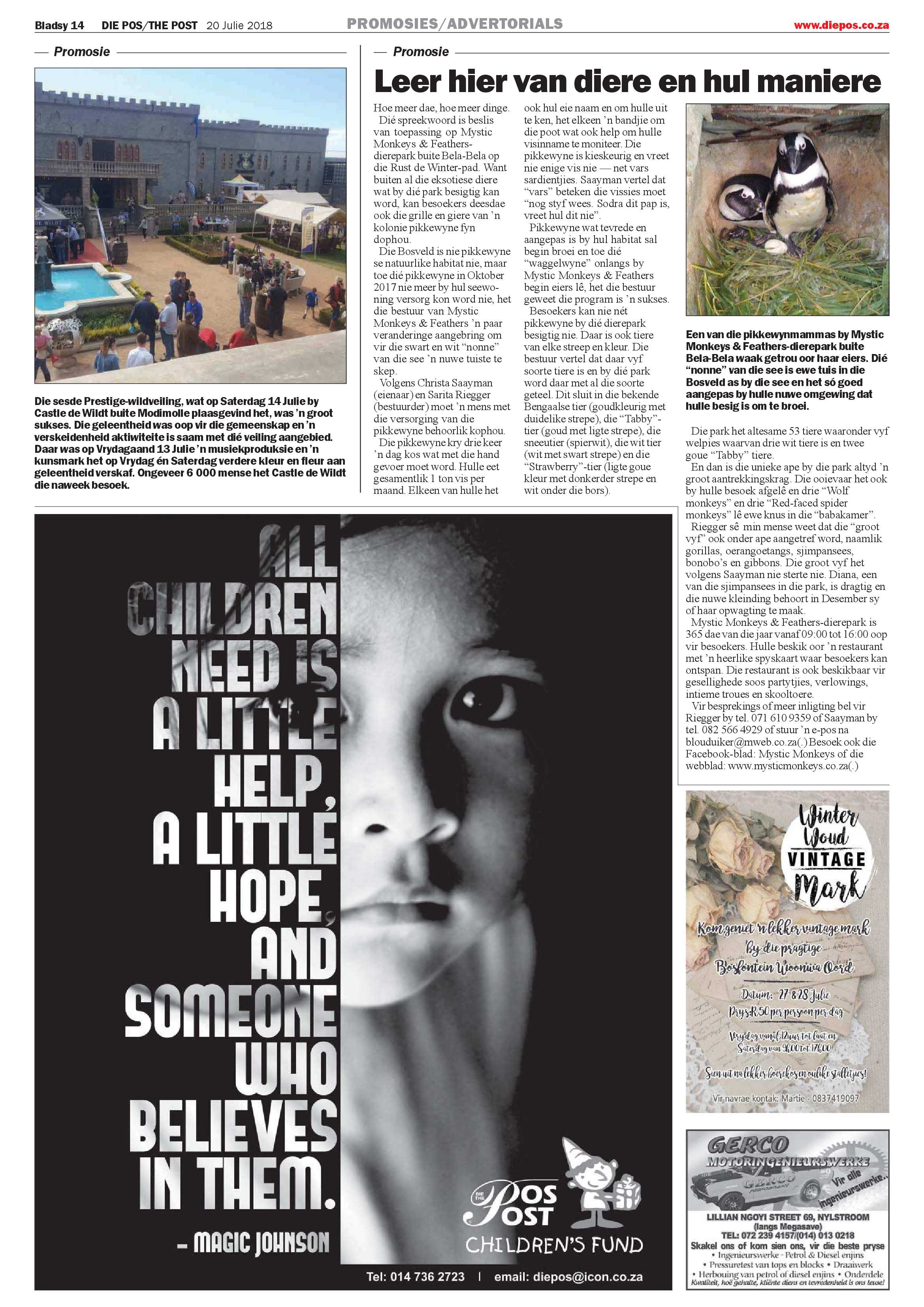 Die Pos 20 July 2018 page 14