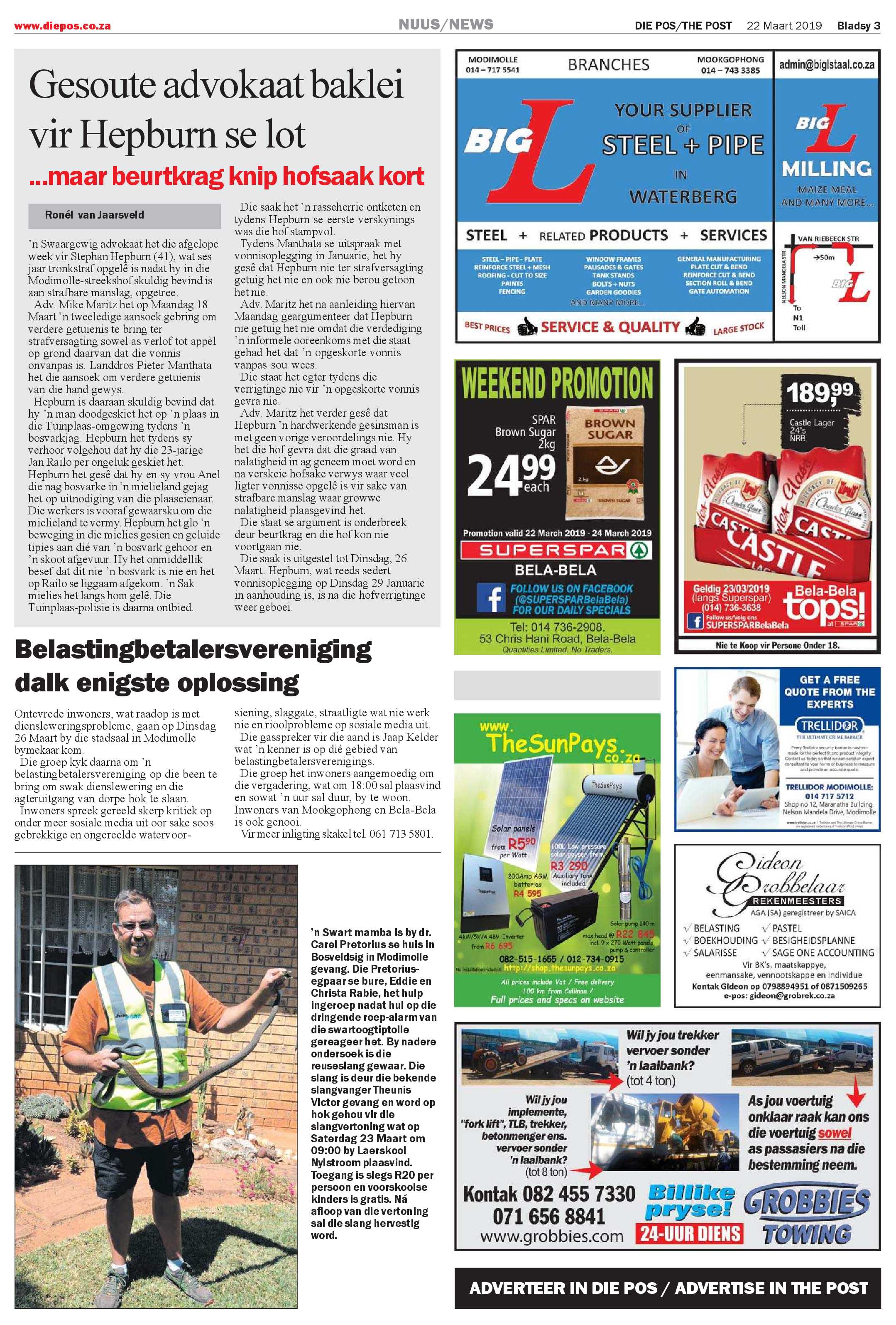 Die Pos 22 March 2019 page 3