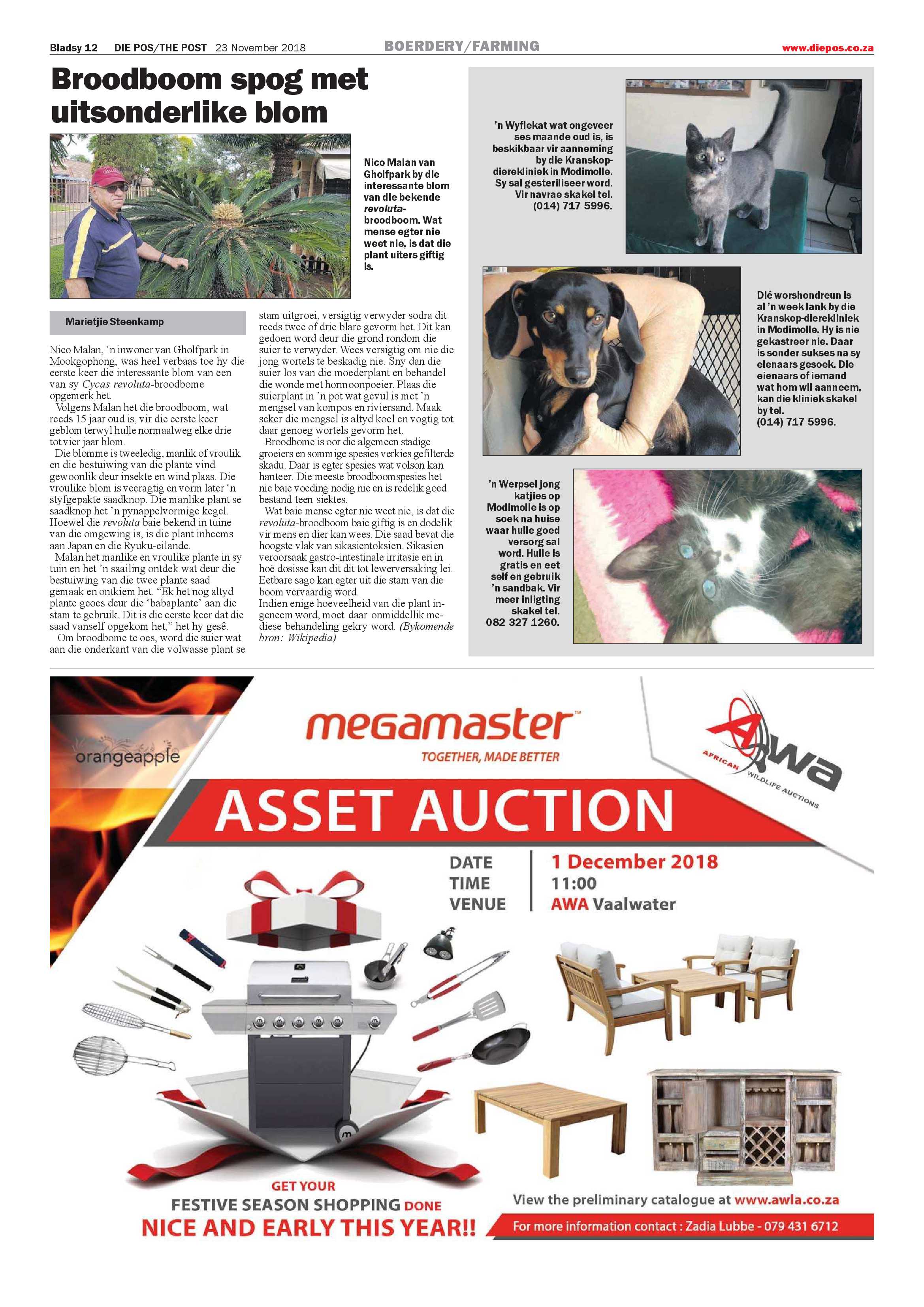 Die Pos 23 November 2018 page 12
