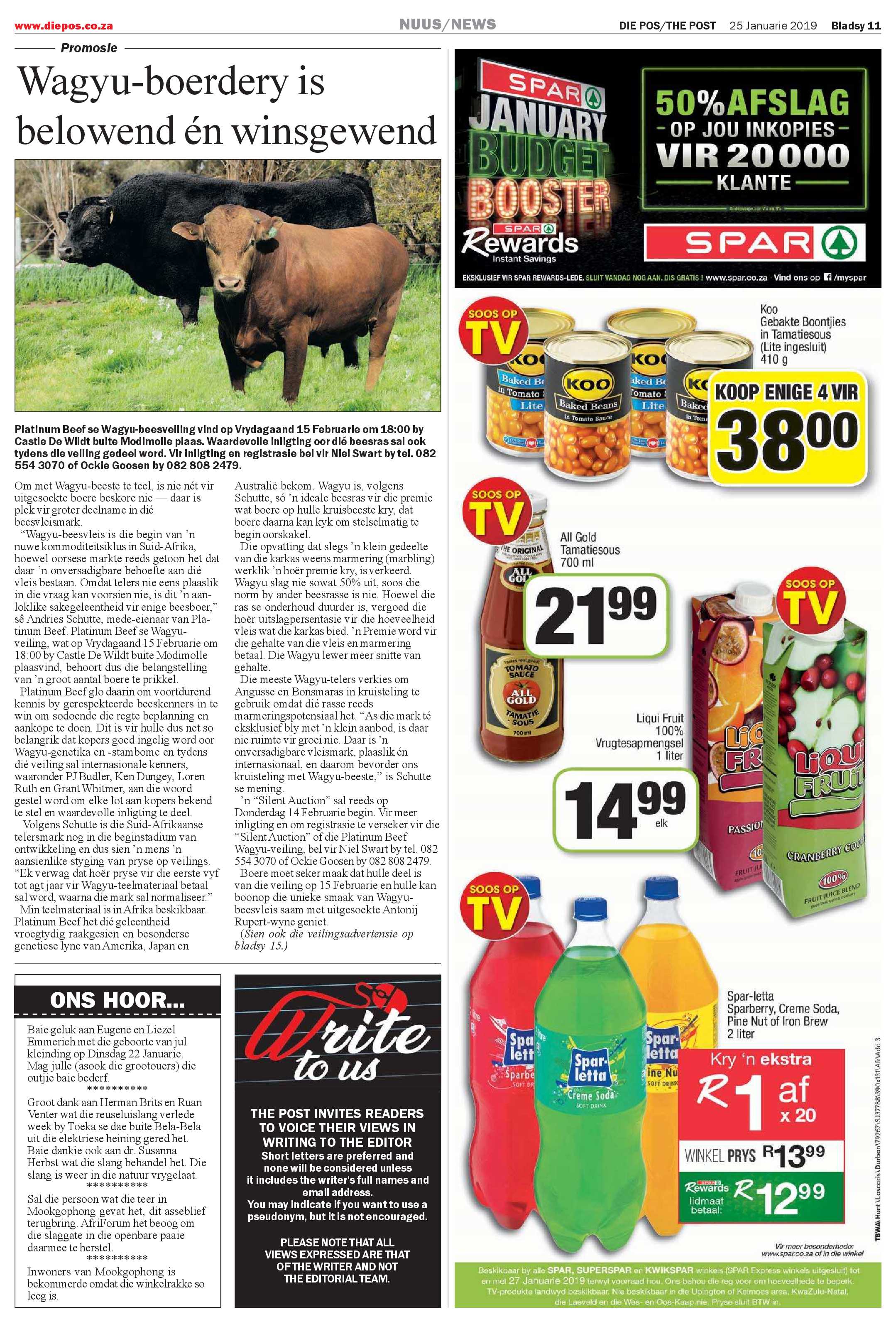 Die Pos 25 January 2019 page 11