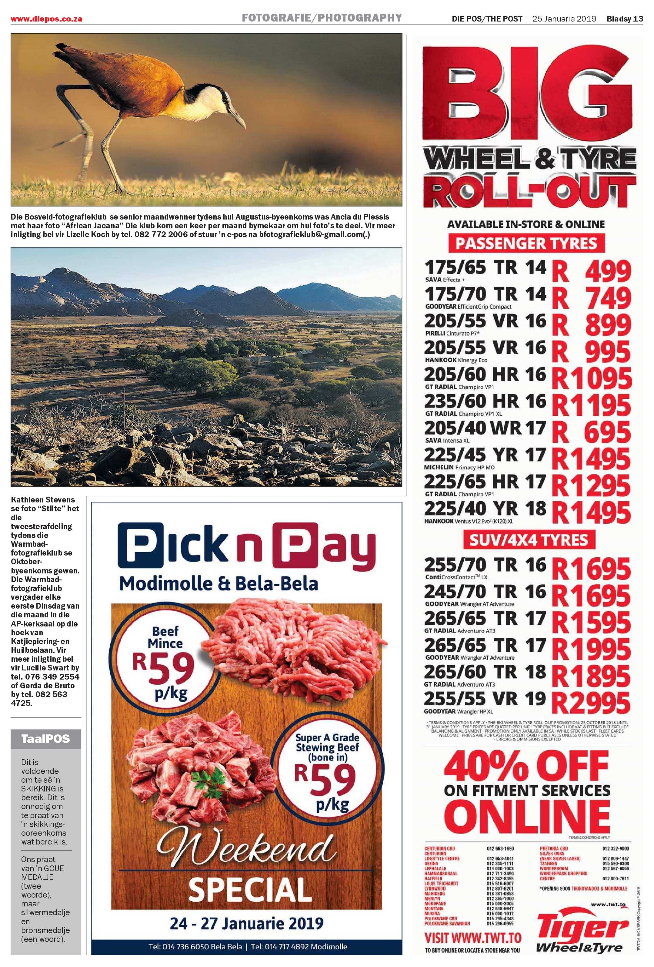 Die Pos 25 January 2019 page 13