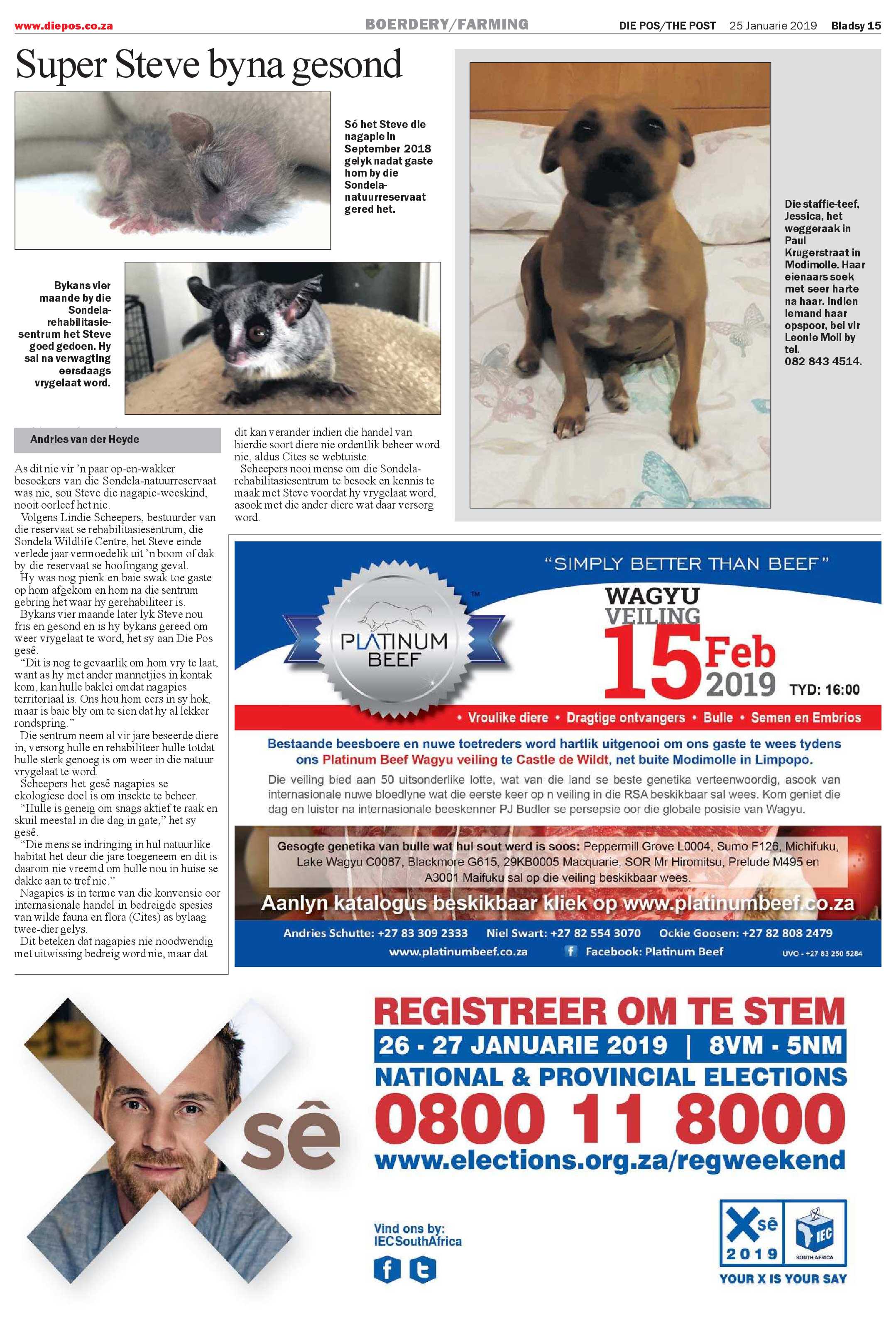 Die Pos 25 January 2019 page 15