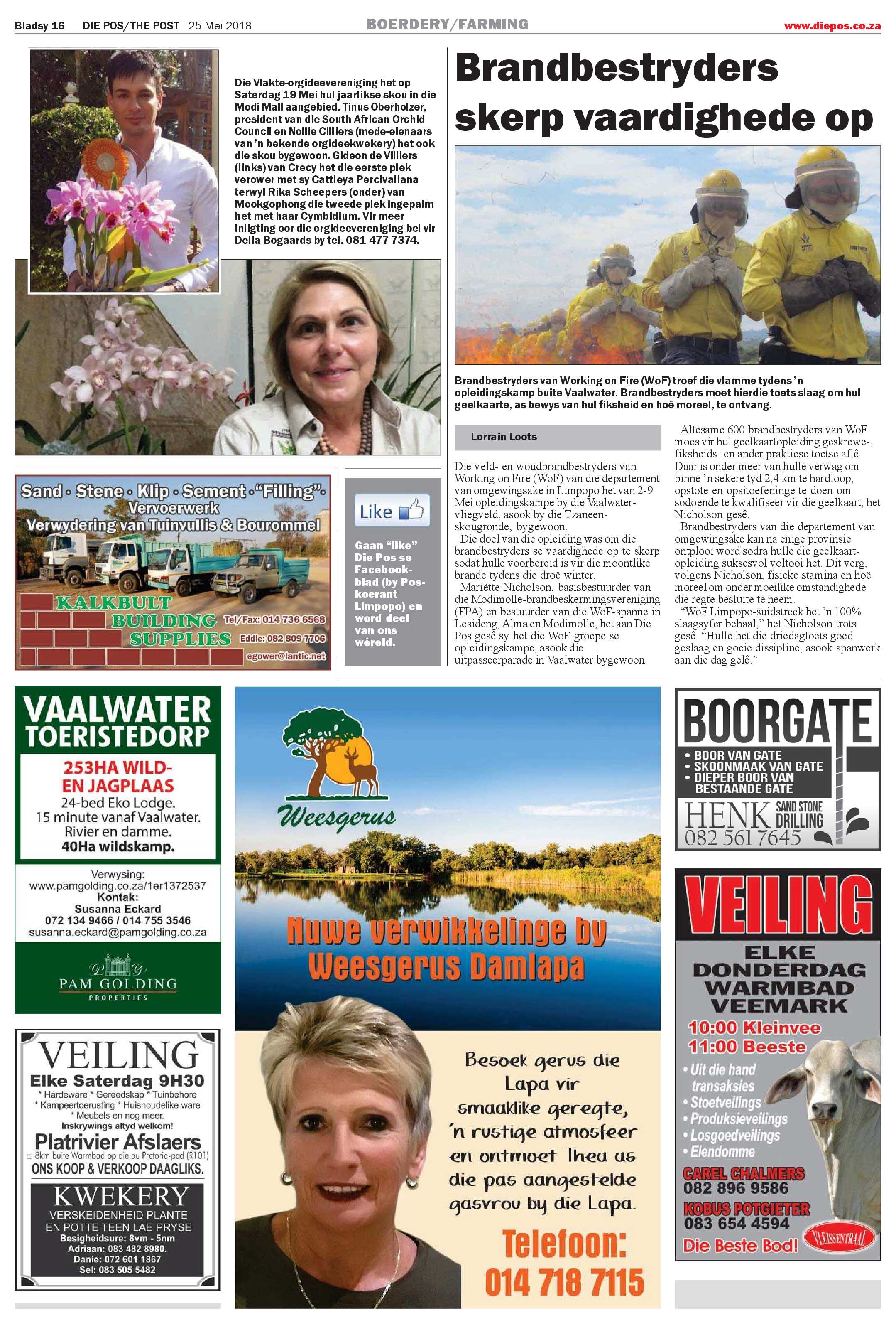 Die Pos 25 Mei 2018 page 16