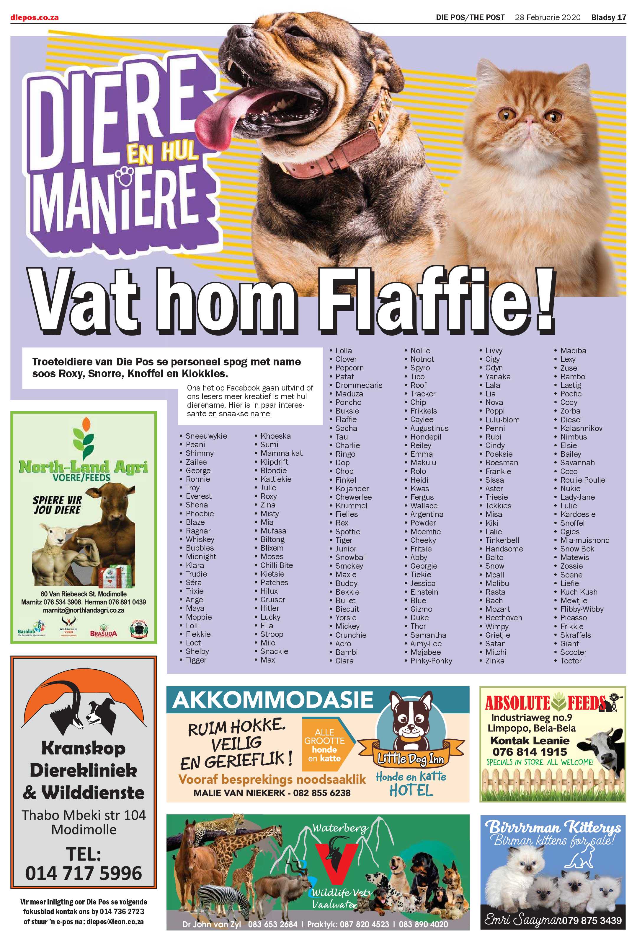 Die Pos 28 Februarie 2020 page 17