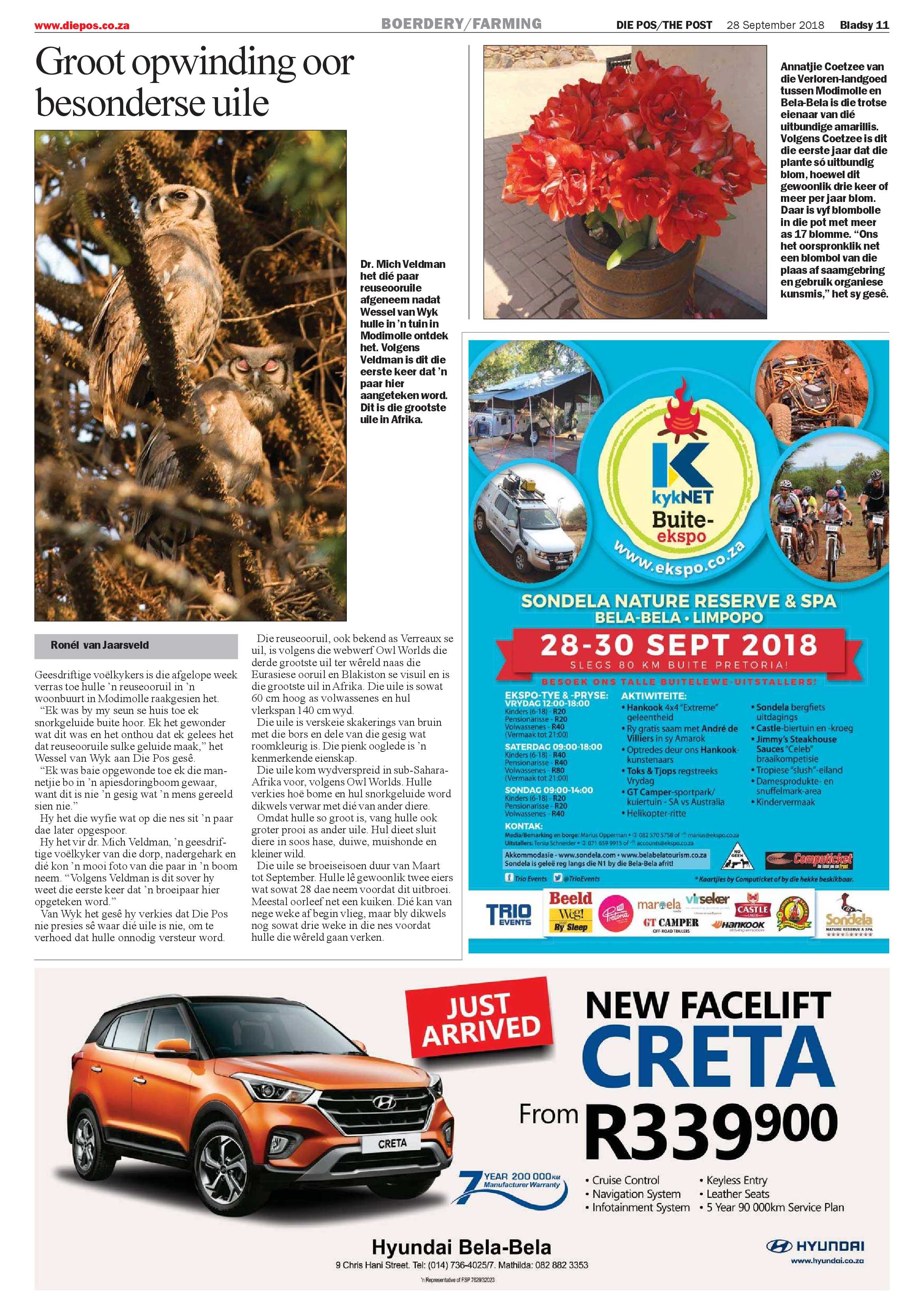 Die Pos 28 September 2018 page 11