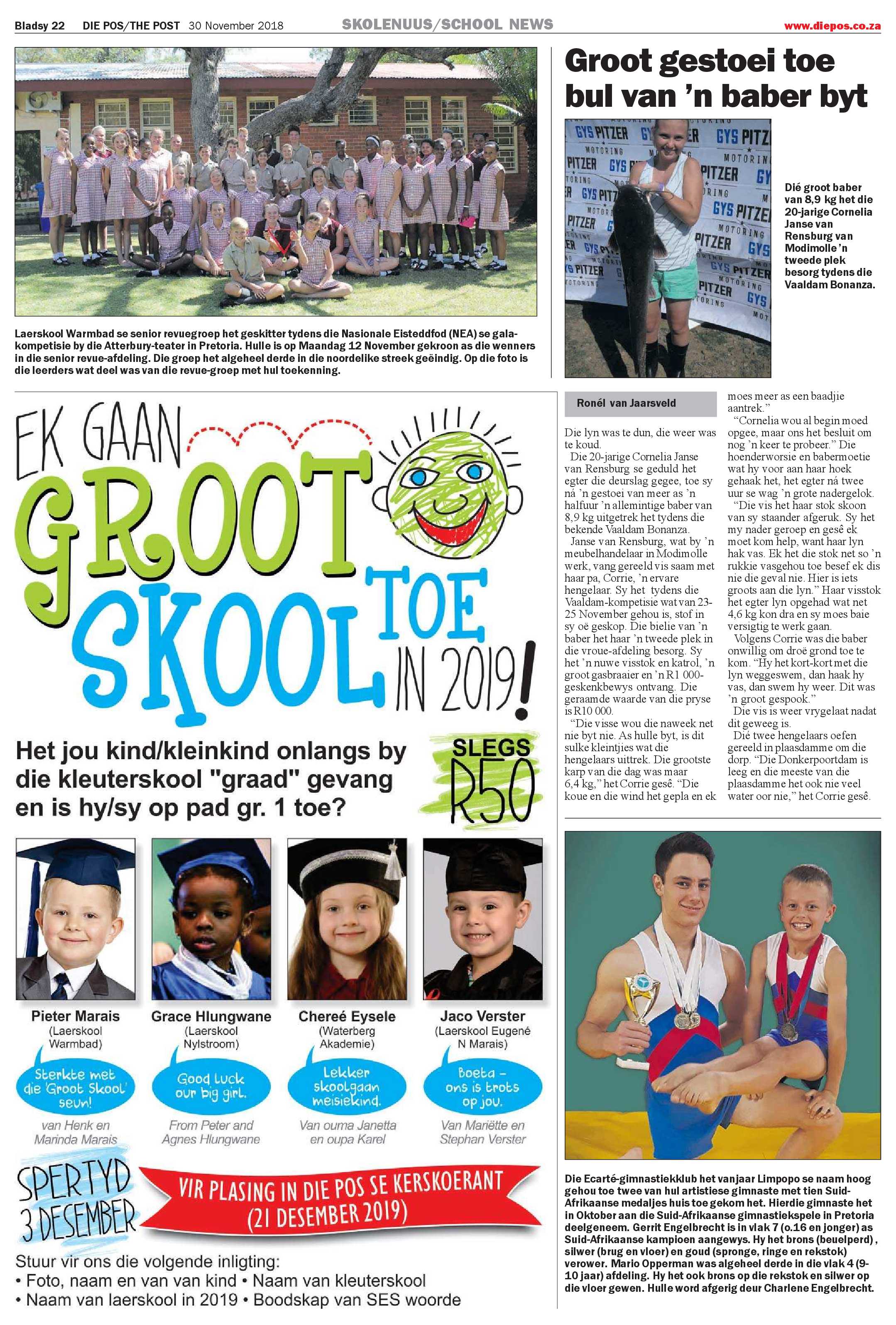 Die Pos 30 November 2018 page 22