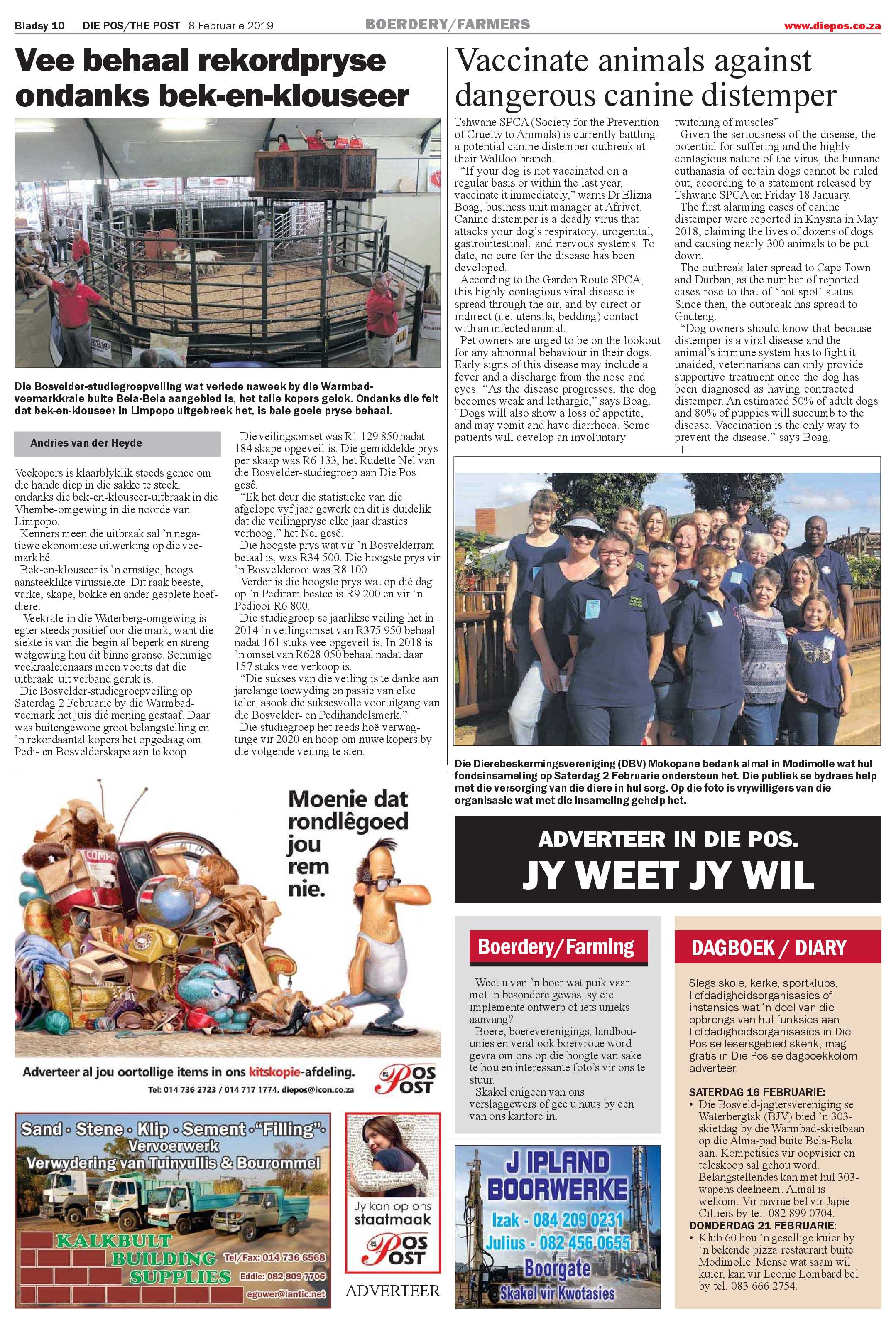 Die Pos 8 February 2019 page 10