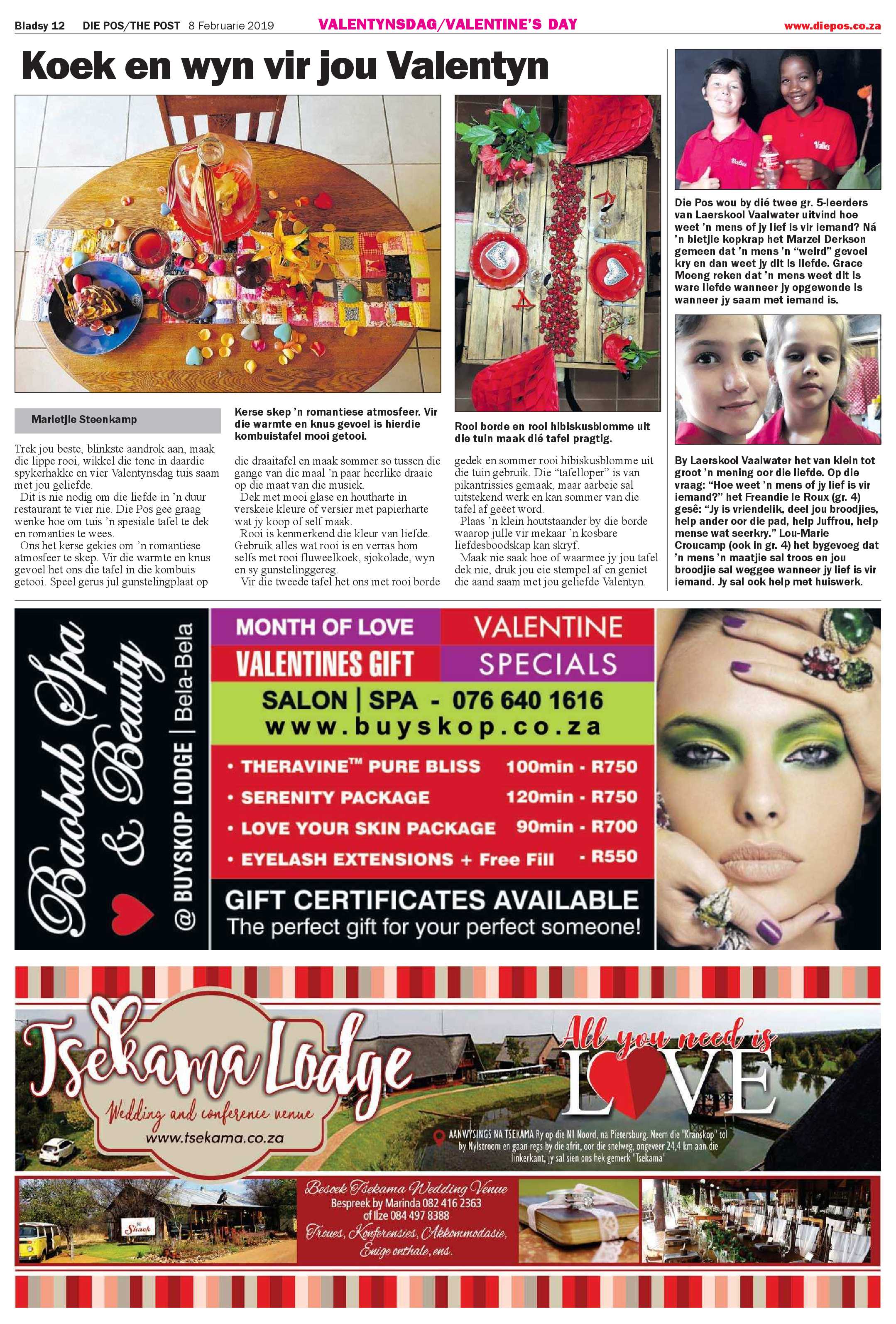 Die Pos 8 February 2019 page 12