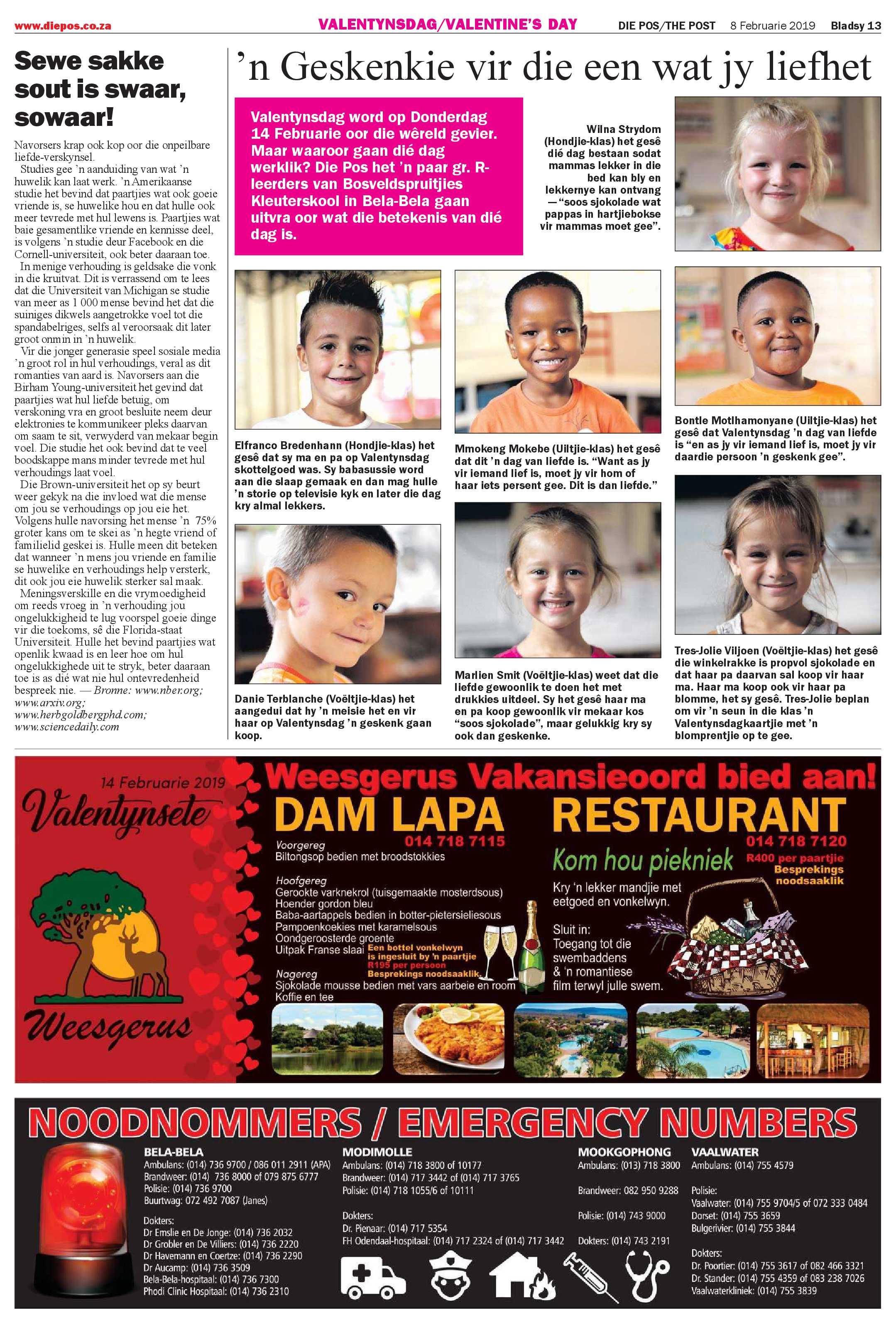 Die Pos 8 February 2019 page 13