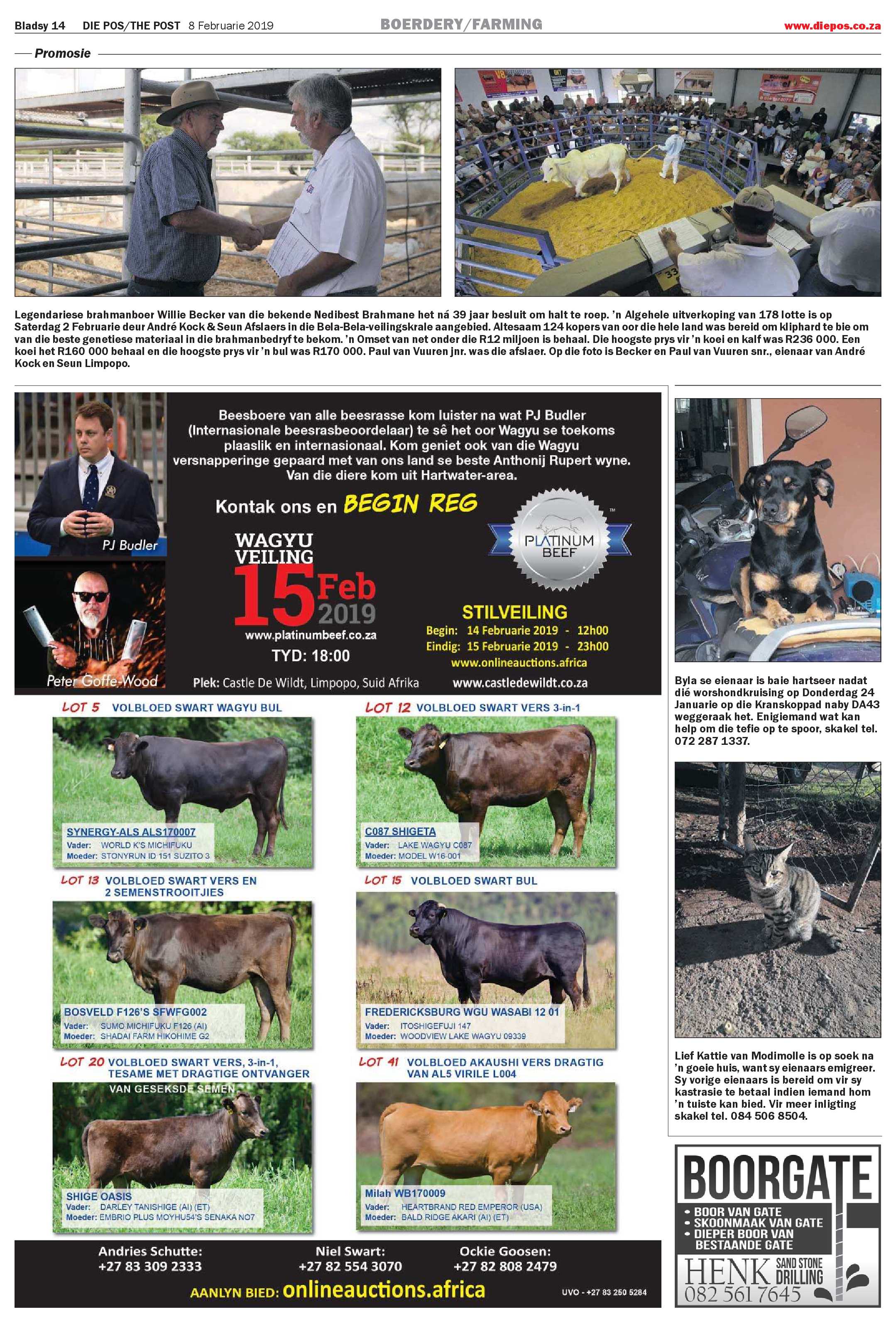 Die Pos 8 February 2019 page 14