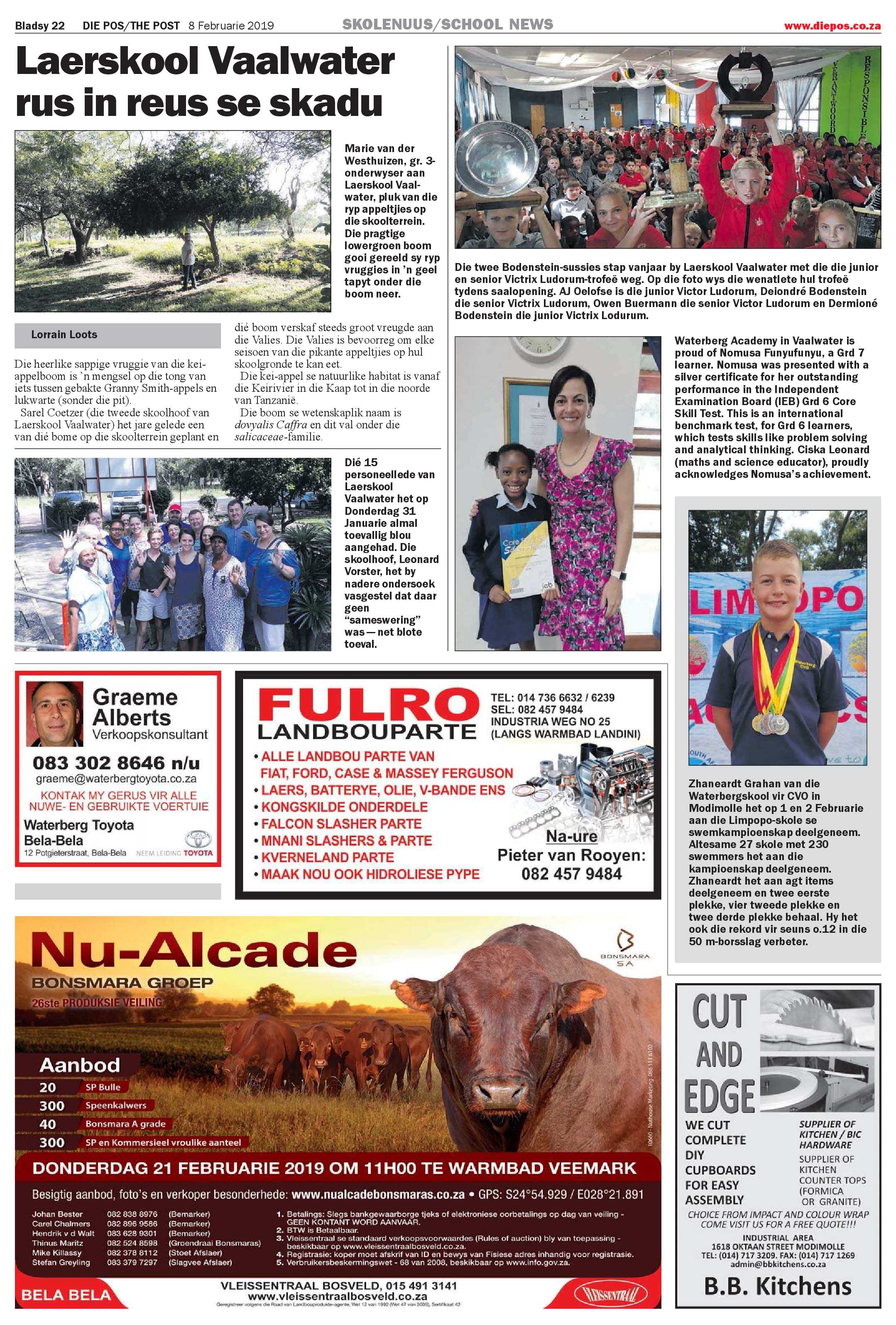 Die Pos 8 February 2019 page 22